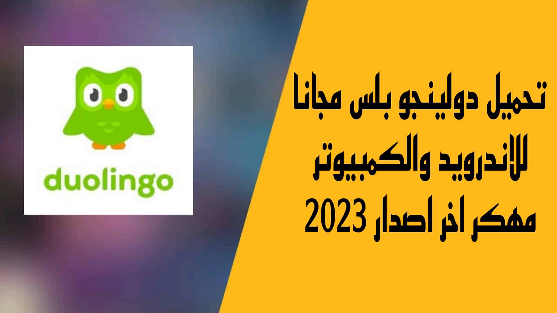 تحميل دولينجو بلس مجانا للاندرويد والكمبيوتر مهكر اخر اصدار 2023