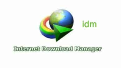 تحميل idm داونلود مانجر مفعل مدى الحياة من ميديا فاير 2023 Internet Download Manger